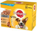 Pedigree Wołowina Kurczak W Musie 12x100G