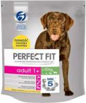 PERFECT FIT Adult 1+ z kurczakiem M/L 1,4kg