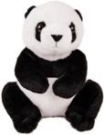 Pluszowa panda