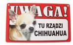 Power gift Tabliczka Ostrzegawcza Tu Rządzi Chihuahua