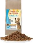 POWER OF NATURE Active Cat Cookies Choice Kurczak Brązowy Ryż 2kg