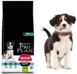 Pro Plan Medium Puppy Optidigest jagnięcina i ryż 12kg