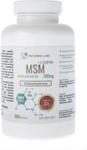 Progress Labs MSM siarka organiczna 500mg 250 kaps