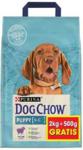 Purina Dog Chow Puppy Lamb Sucha Karma Dla Szczeniąt Wszystkich Ras 2,5Kg