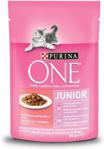 Purina One Junior Mini Filety Z Łososiem I Marchewką W Sosie 24x85G