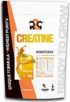 R2G Creatine Monohydrate 500g Pomarańczowy