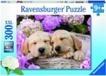 Ravensburger Sweet Dogs 300El.