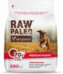 Raw Paleo VetExpert Puppy Medium Beef 280G