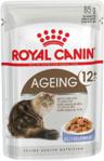 Royal Canin Ageing +12 w galaretce 85g