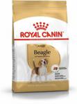 Royal Canin Beagle Adult 12kg