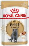 Royal Canin British Shorthair Adult 12X85g