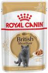 Royal Canin British Shorthair Adult 85g