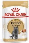 Royal Canin British Shorthair Saszetka 12X85G