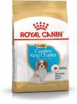 Royal Canin Cavalier King Charles Puppy 1,5kg