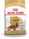 Royal Canin Cocker Adult 12kg