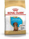 Royal Canin Dachshund Puppy 1,5kg