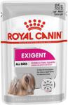 Royal Canin Exigent Loaf 12X85G