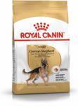 Royal Canin German Shepherd Adult 11kg