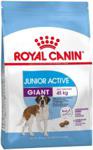 Royal Canin Giant Junior Active 15kg