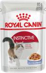 Royal Canin Instinctive w galaretce 12x85g