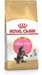 Royal Canin Maine Coon Kitten 2x10kg