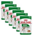 Royal Canin Mini Adult Wet 6x85g