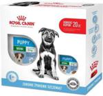 Royal Canin Mini Puppy 800g + Wyprawka