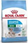 Royal Canin Mini Starter Mother & Babydog 1,5kg