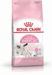 Royal Canin Mother&Babycat 2x4kg