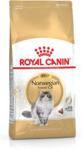 Royal Canin Norwegian Forest Cat Adult 10kg