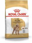 Royal Canin Poodle Adult 1,5kg