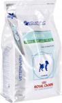 Royal Canin Veterinary Care Nutrition Pediatric Puppy Small Digest&Dental 29 4kg