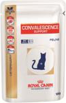 Royal Canin Veterinary Diet Convalescence Support 100g