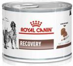 Royal Canin Veterinary Diet Recovery Cats/Dogs 12x195G