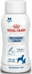 Royal Canin Veterinary Diet Recovery liquid 200ml