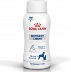 Royal Canin Veterinary Diet Recovery Liquid Dog&Cat 3x0,2L