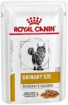 Royal Canin Veterinary Diet Urinary S/O Moderate Calorie Feline Wet 100g