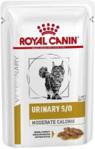 Royal Canin Veterinary Diet Urinary S/O Moderate Calorie Feline Wet 12x100g