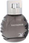 Salvador Dali Salvador Dali Woda toaletowa 50ml spray