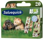 SALVEQUICK ANIMAL PLANET Plastry 20 szt