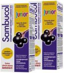 Sambucol Junior (powyżej 6 roku życia) syrop 2x120ml