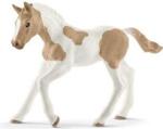 Schleich Figurka Koń Paint Horse źrebię