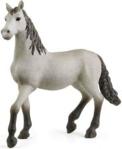 Schleich Horse Club. SLH13924. Młody koń