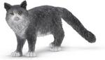 Schleich Kot Maine Coon 13893