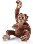 Schleich Orangutan Młody (14776)