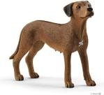 Schleich Pies Rasy Rhodesian Ridgeback 13895