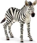 Schleich Zebra Źrebię (14811)