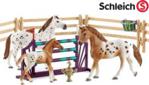 SCHLEICH ZESTAW TRENINGOWY PADOK ZAGRODA 42433