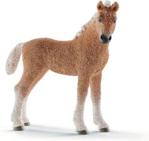 Schleich Źrebię Rasy Bashkir Curly 13781