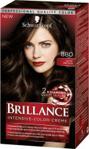 Schwarzkopf Brillance Farba do włosów Brillance Intensive Color Creme 880 Dark Brown